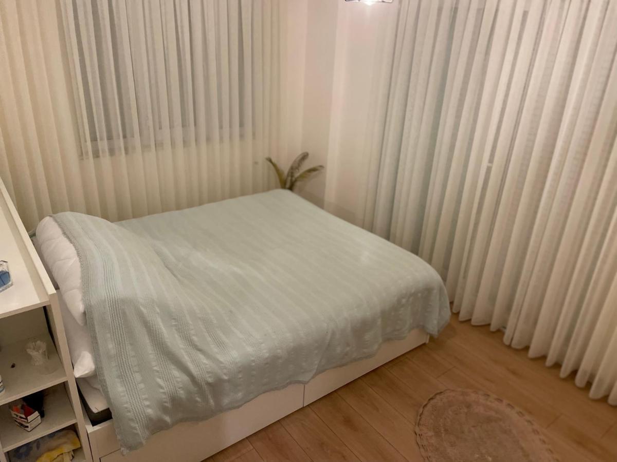 سيدي Caohome المظهر الخارجي الصورة
