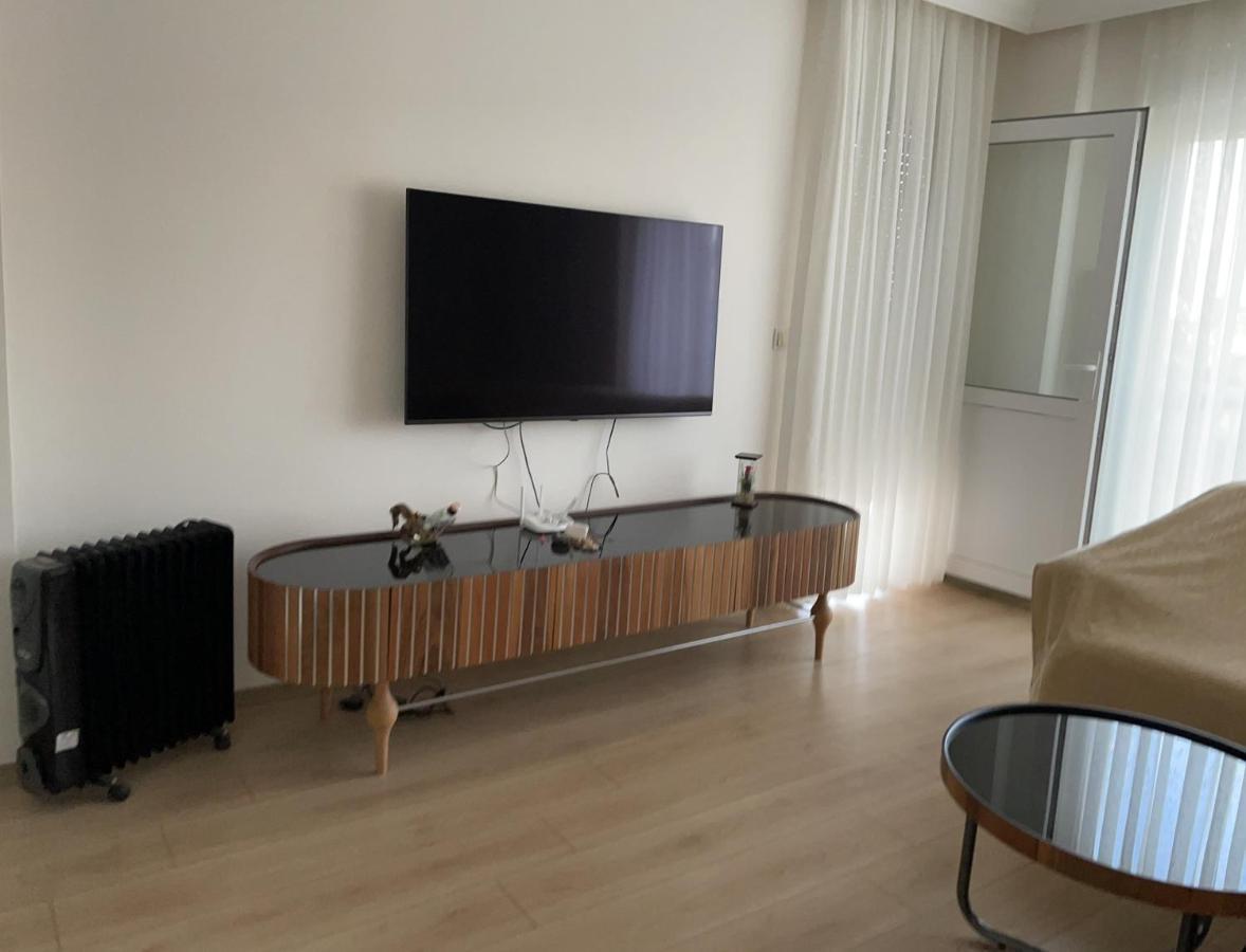 سيدي Caohome المظهر الخارجي الصورة