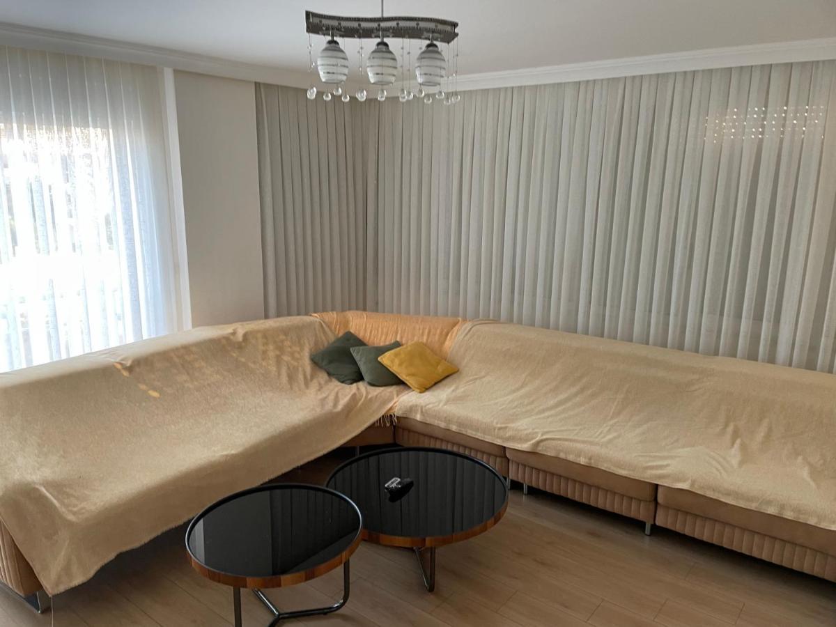 سيدي Caohome المظهر الخارجي الصورة